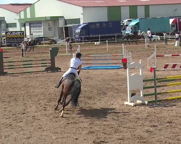 Reitturnier Demantsfürth/Mfr. 2019