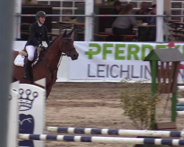 Reitturnier Leichlingen-Witzhelden 2019