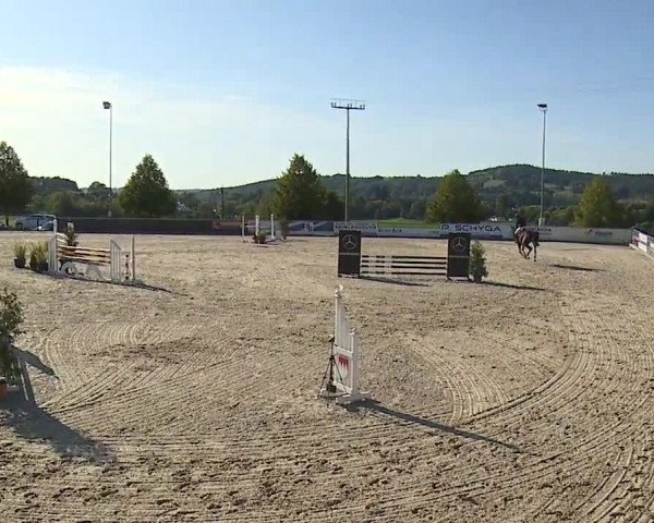 Reitturnier Küps/Ofr. 2019