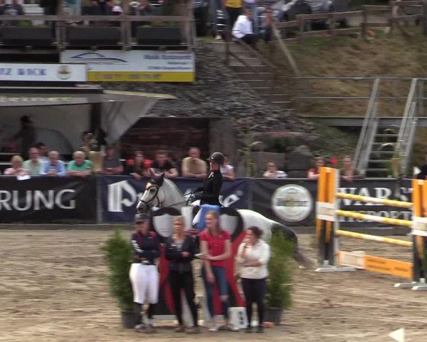 Reitturnier Siegen 2019