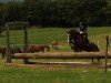 dressage horse Da Capo Sohn (German Riding Pony, 2005, from Da Capo)