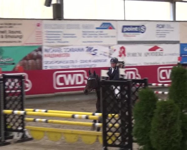 Reitturnier Wachtberg-Adendorf 2019