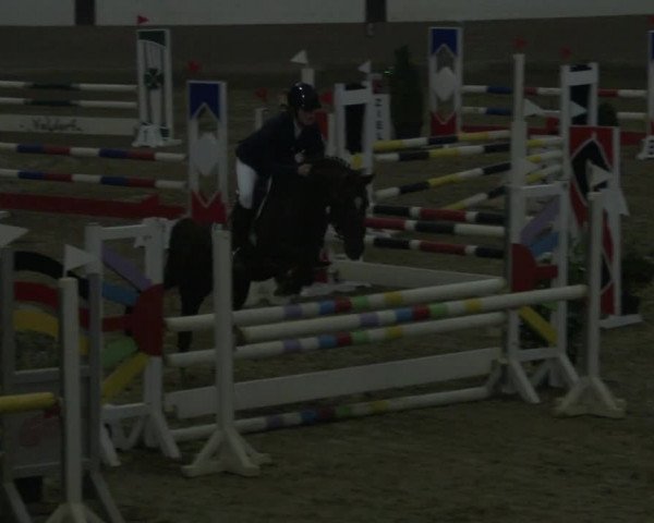 Reitturnier Vlotho-Valdorf 2019
