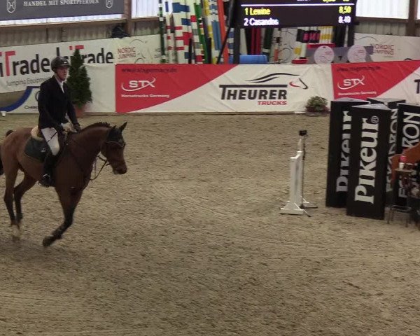 Nordic Jumping events 2019