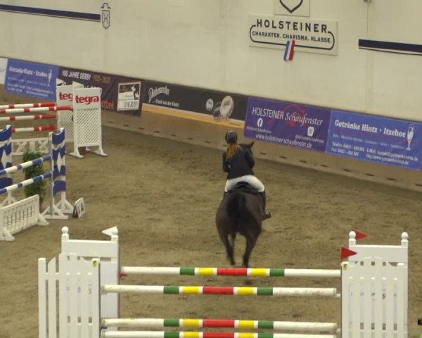 Reitturnier Elmshorn 2020