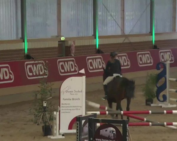 Reitturnier Kaldenkirchen - Gestüt Seehof 2020