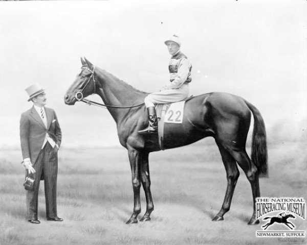 stallion April The Fifth xx (Thoroughbred, 1929, from Craig an Eran xx)