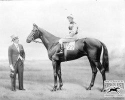 stallion April The Fifth xx (Thoroughbred, 1929, from Craig an Eran xx)