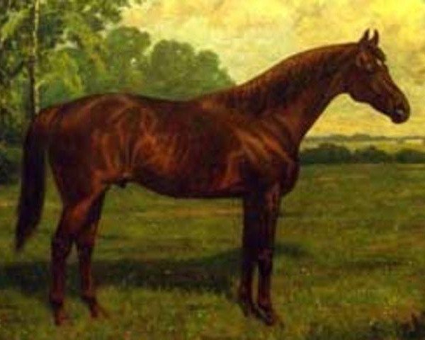stallion Red Prince II xx (Thoroughbred, 1889, from Kendal xx)