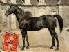 stallion Krakatoa xx (Thoroughbred, 1884, from Thunderbolt xx)