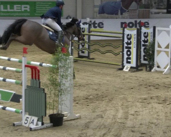 Reitturnier Borken 2020