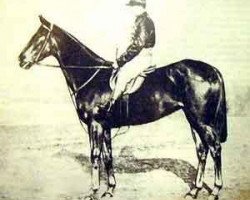 broodmare Plaisanterie xx (Thoroughbred, 1882, from Wellingtonia xx)