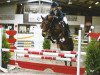 jumper Eddy 246 (German Riding Pony, 2001)