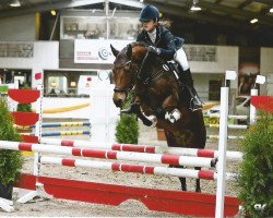 jumper Eddy 246 (German Riding Pony, 2001)