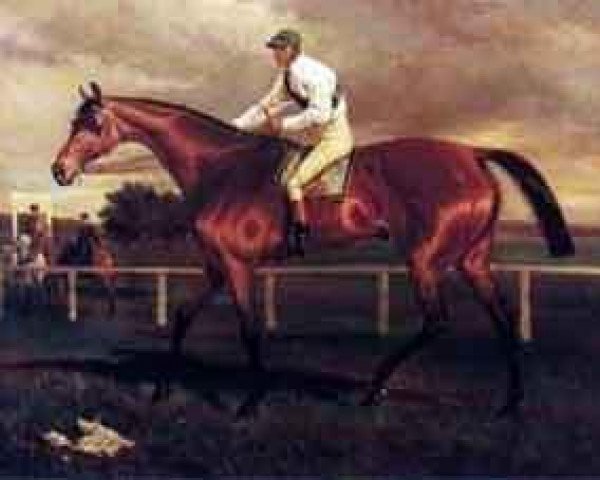 stallion Robert the Devil xx (Thoroughbred, 1877, from Bertram xx)