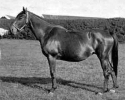 broodmare Palmflower xx (Thoroughbred, 1874, from The Palmer xx)