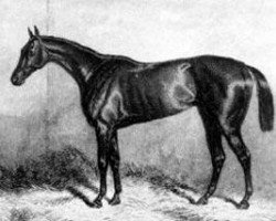 broodmare Formosa xx (Thoroughbred, 1865, from Buccaneer xx)