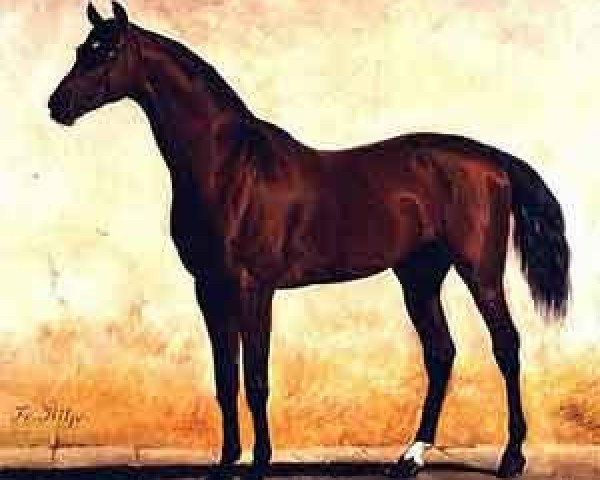 stallion Garrick xx (Thoroughbred, 1854, from Westow xx)
