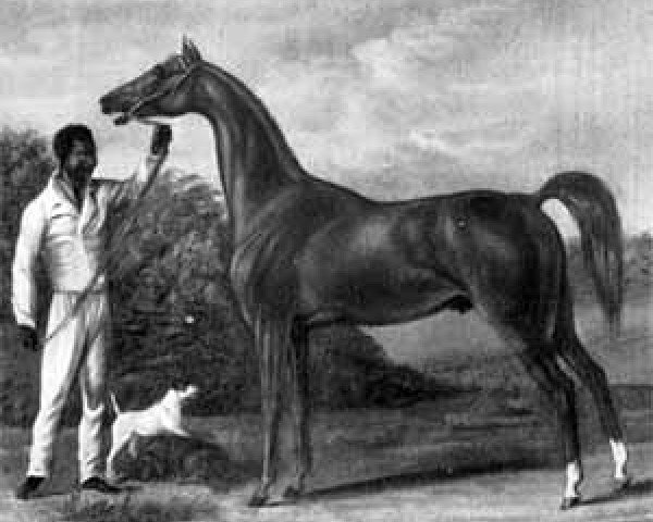 stallion Mickle Fell xx (Thoroughbred, 1834, from Catton xx)
