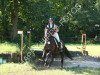 eventing horse Beground (Hessian Warmblood, 1998, from Beg xx)