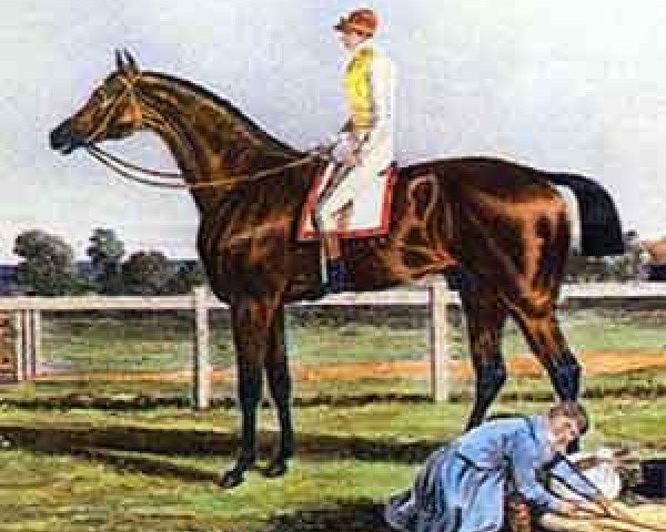 stallion Reveller xx (Thoroughbred, 1815, from Comus xx)