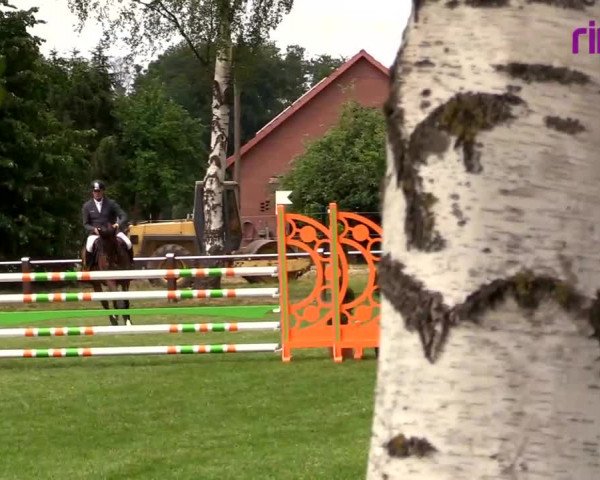 Reitturnier Hille 2020