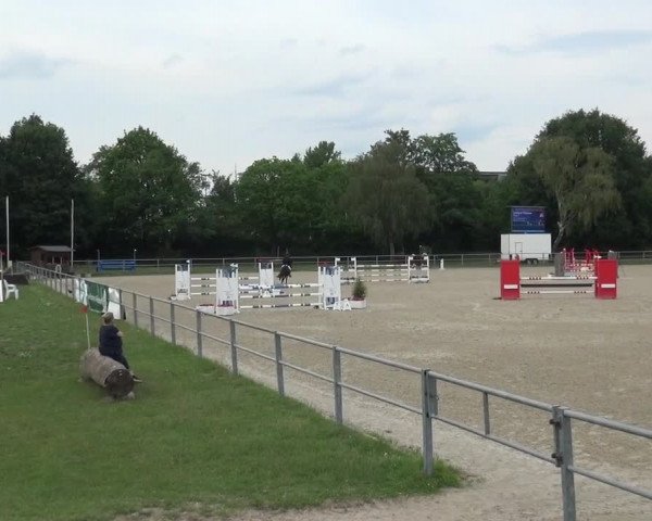 Reitturnier Langenfeld - Gut Langfort 2020