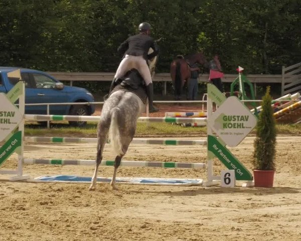 Reitturnier Heiligenwald 2020
