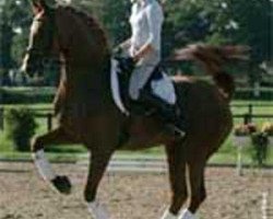 broodmare Fanta Ghiro (Trakehner, 1996, from Akademos xx)