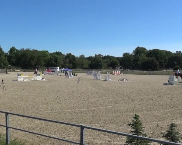 Reitturnier Langenfeld - Gut Langfort 2020