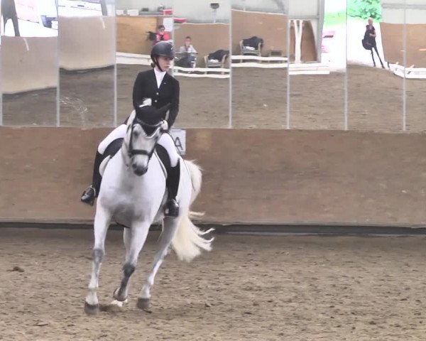 Reitturnier Reitanlage Birkenhof, Perl-Sinz 2020