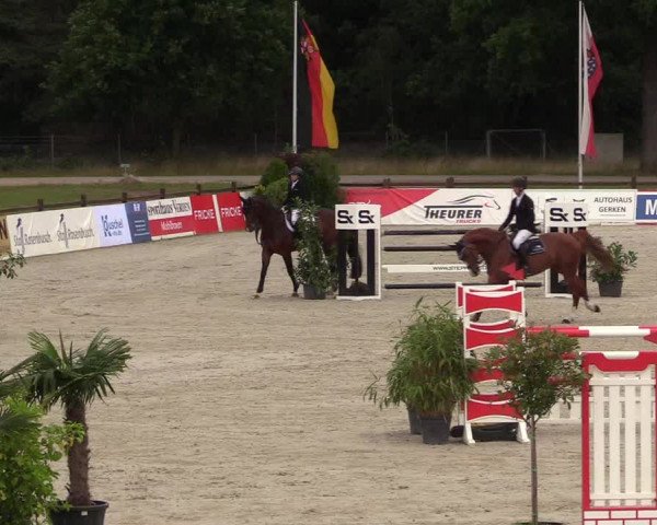 Reitturnier Westergellersen - Luhmühlen 2020