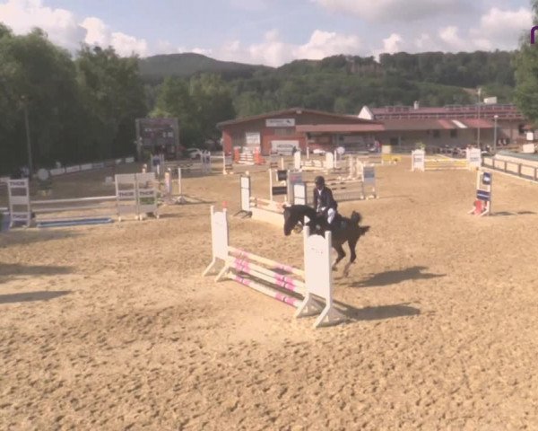 Reitturnier Uder, Reitanlage Kobold 2020