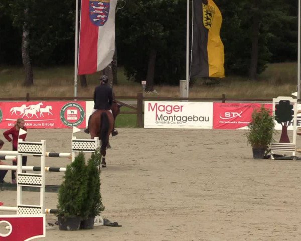 Reitturnier Westergellersen - Luhmühlen 2020