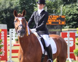 dressage horse Faiano (Westphalian, 2004, from Fiano)