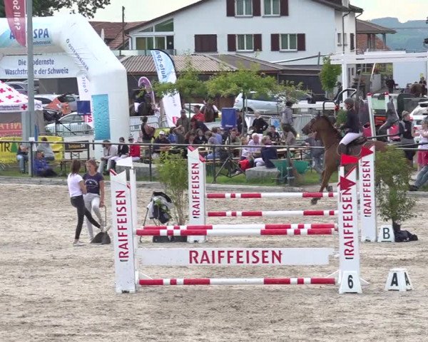 Reitturnier Gossau 2020