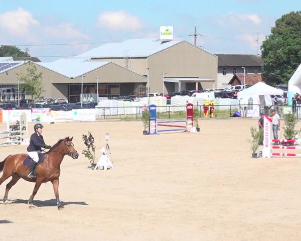 Reitturnier Gossau 2020