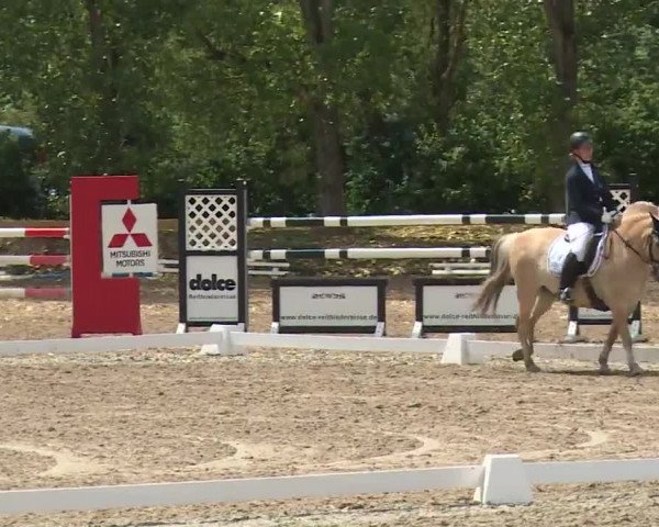 Reitturnier Kleinostheim/Ufr. 2020