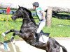 jumper TSF Karat B (Trakehner, 2000, from Sixtus)