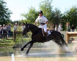 broodmare Miss Meller (Trakehner, 1996, from Amatcho)