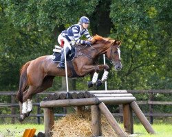 jumper Lady You MG (Trakehner, 2004, from Houston)