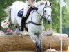 dressage horse Boo Bandit (Trakehner, 1998, from Houston)