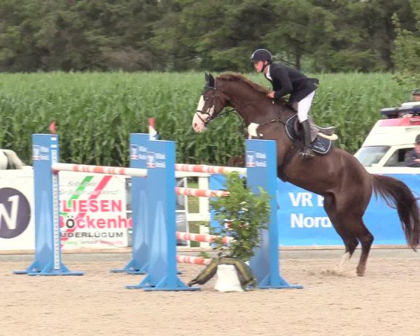 Reitturnier Ladelund 2020