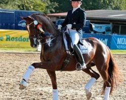 dressage horse Rudi's Memory (Trakehner, 2000, from Gribaldi)