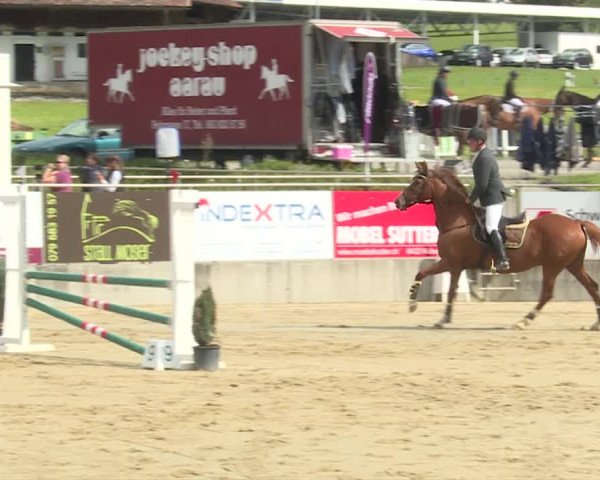 Reitturnier Schwyz 2020