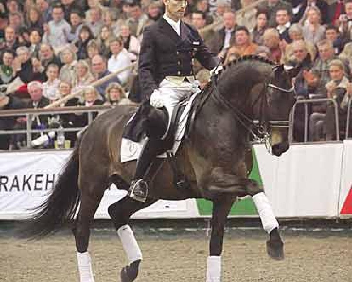 stallion Polarion (Trakehner, 1993, from Van Deyk)