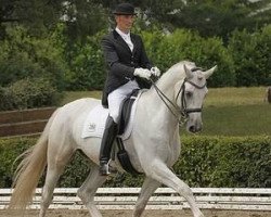 dressage horse Mon Baron TSF (Trakehner, 2000, from Münchhausen)