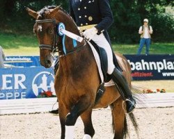 stallion Konradi (Trakehner, 1997, from Charly Chaplin)