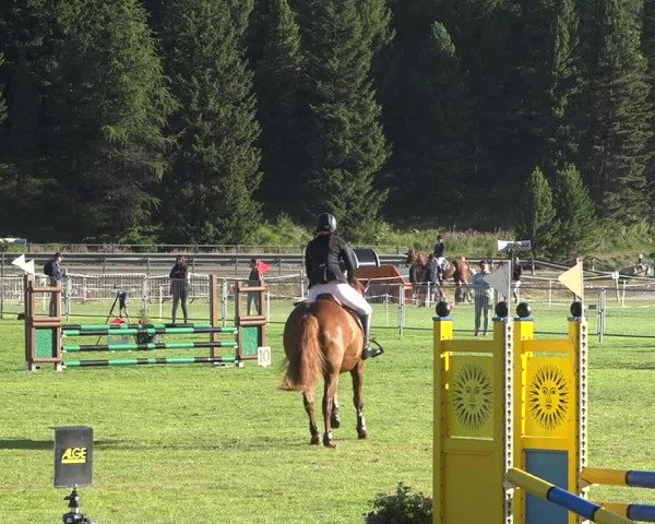 Reitturnier St. Moritz 2020