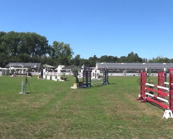 FEI Reitturnier Eschweiler (GER) 2020
